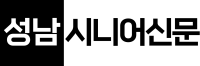 seongnam_logo_origin